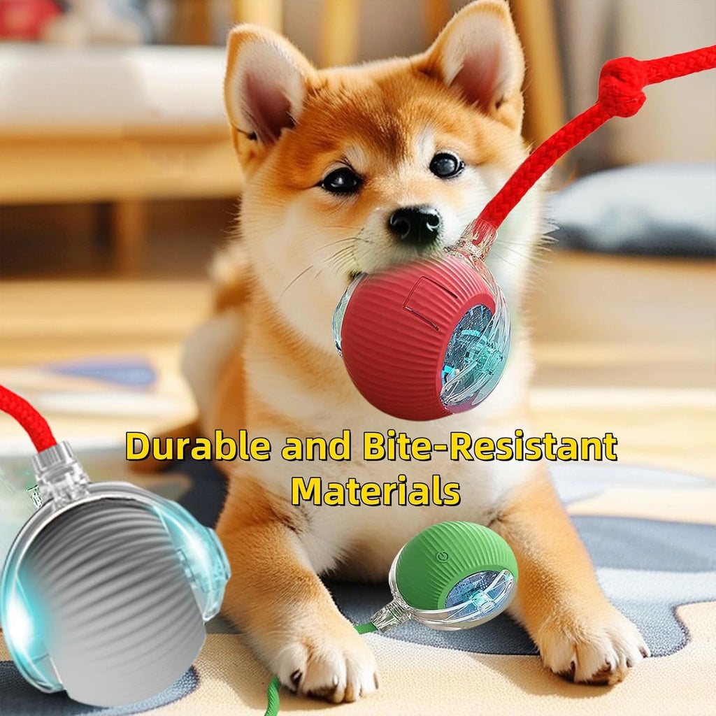 PlayBall Elite – Pelota Interactiva Inteligente para Mascotas