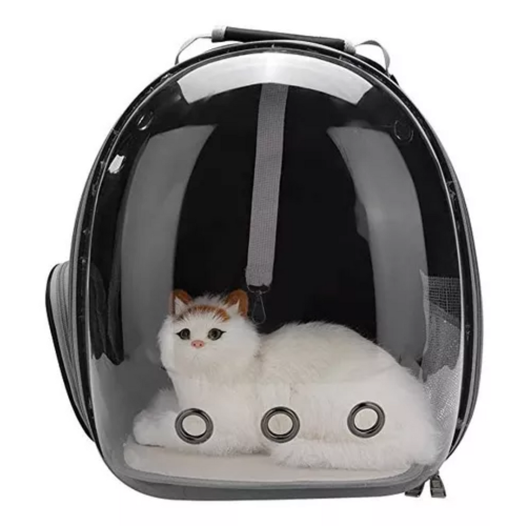 Mastershop Product Image