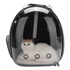Mastershop Product Image