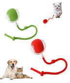 Mastershop Product Image