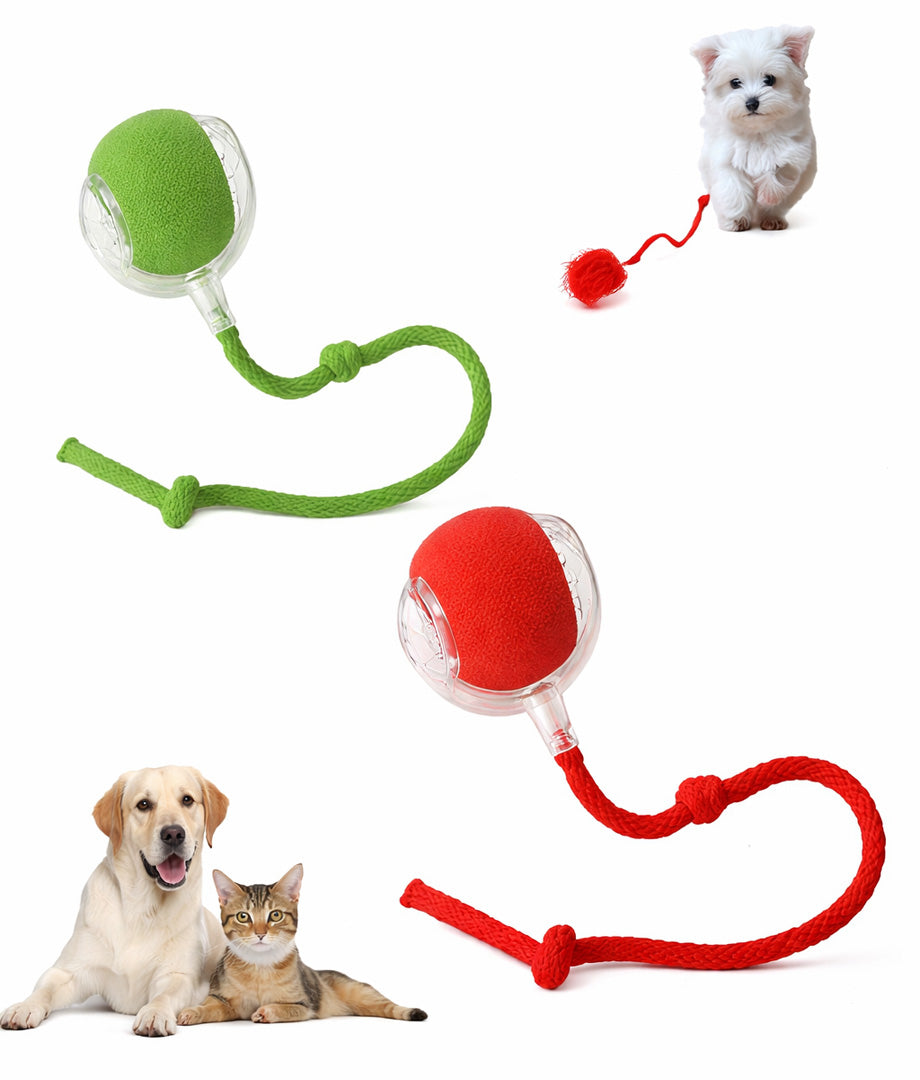 Mastershop Product Image